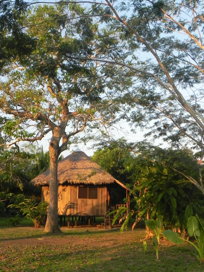 Green Diamond Amazon Lodge Puerto Maldonado Exterior photo